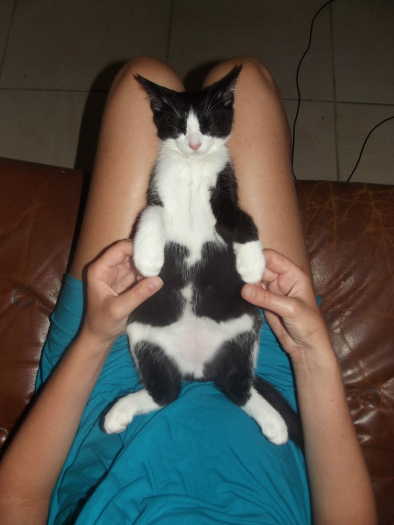 Екатерина Кудрявцева | Coolangatta