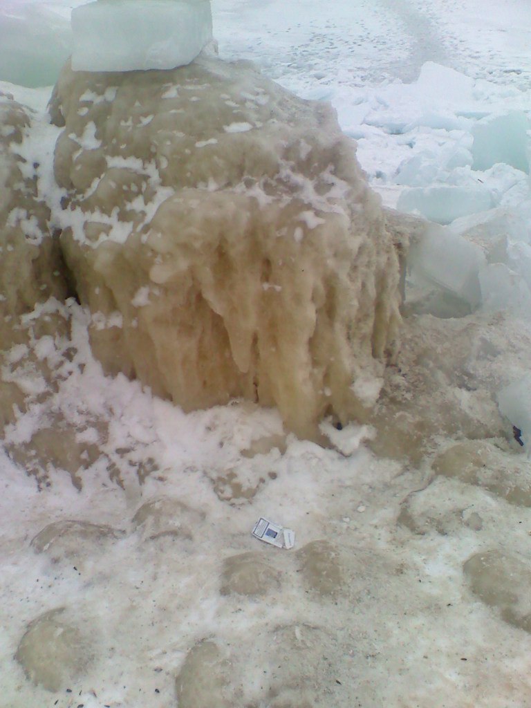 Лариса Жукдолгая | Тирасполь