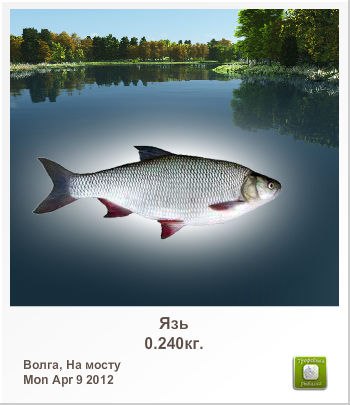 Валерий Гришин | Чаплыгин