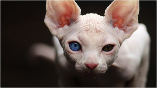 Маша Ермолаева | Мурманск