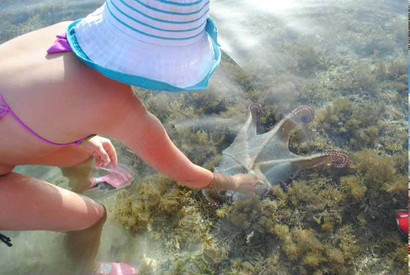 Юлия Тарасова | Раменское