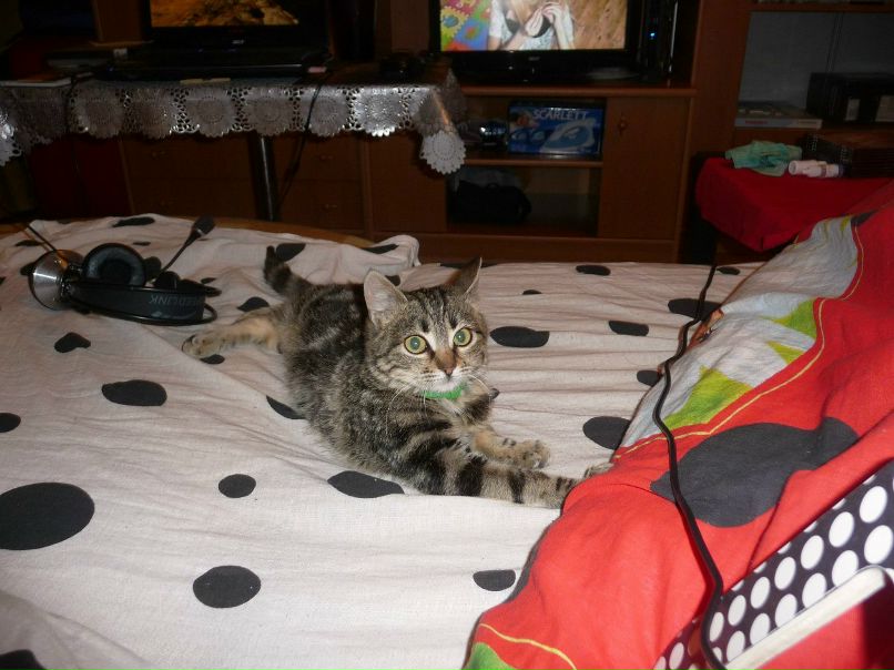 Руслана Богданова | Ростов-на-Дону