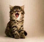 Стас Огородников | Могилёв