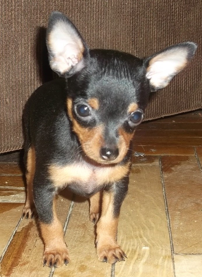 Лена Ηиколаева | Санкт-Петербург