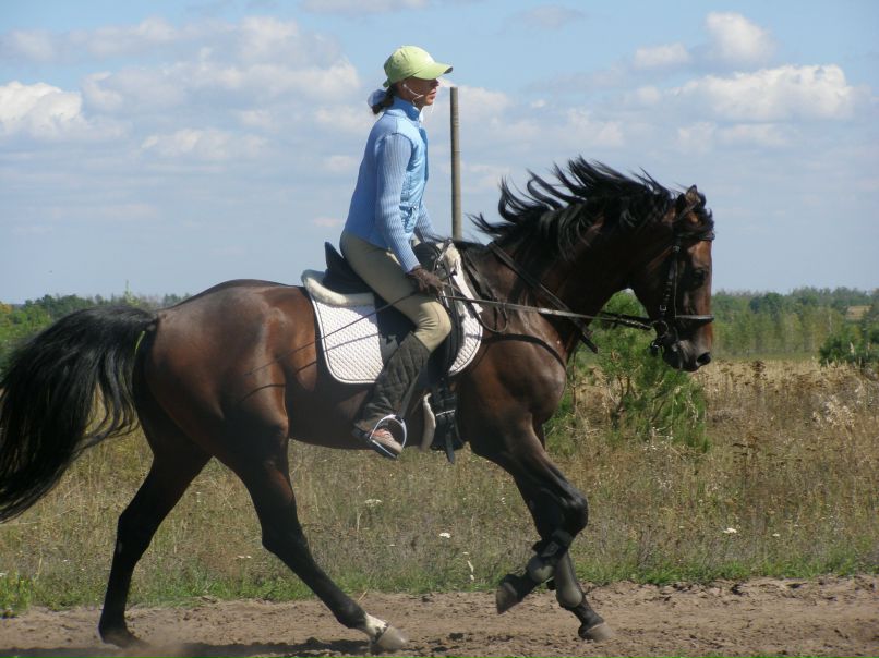 Анна Жегулёвцева | Воронеж