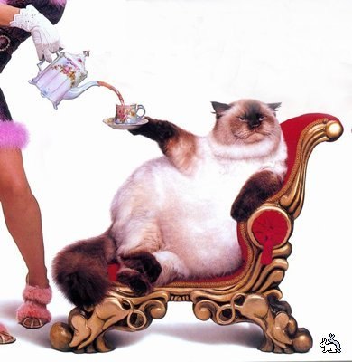 Андрей Жариков | Москва