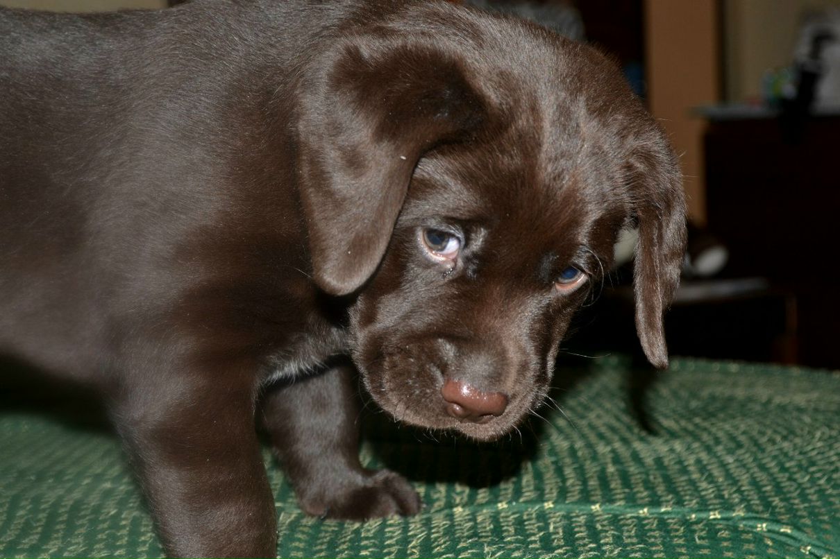 Екатерина Пируева | 