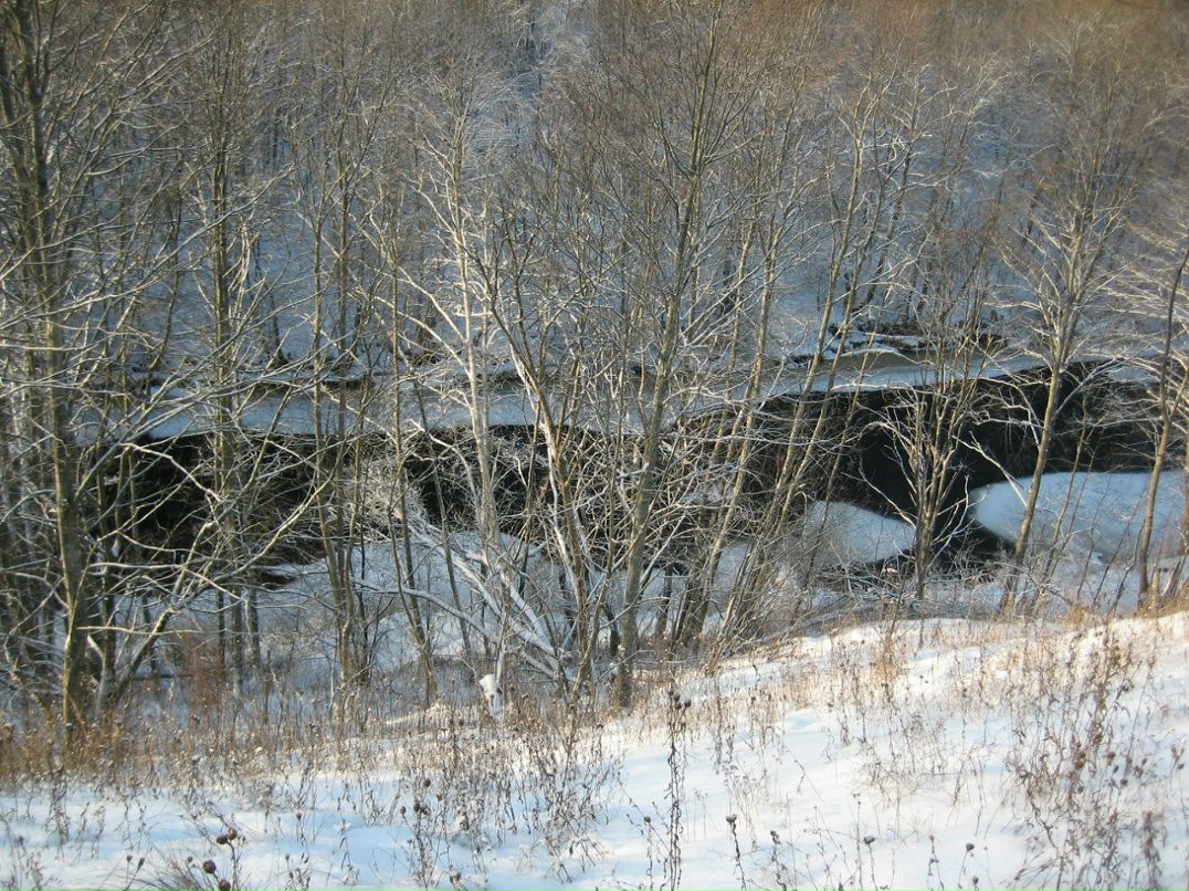 Андрей Панов | Москва