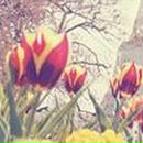 Катя Тында | Пенза