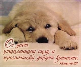 Алла Солнцева | Днепр (Днепропетровск)