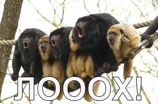 Владимир Поздняков | Санкт-Петербург