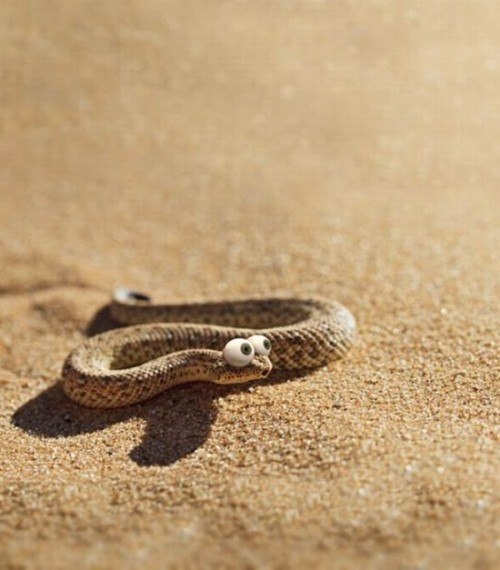 Роман Осипов -=Osip=- | Санкт-Петербург