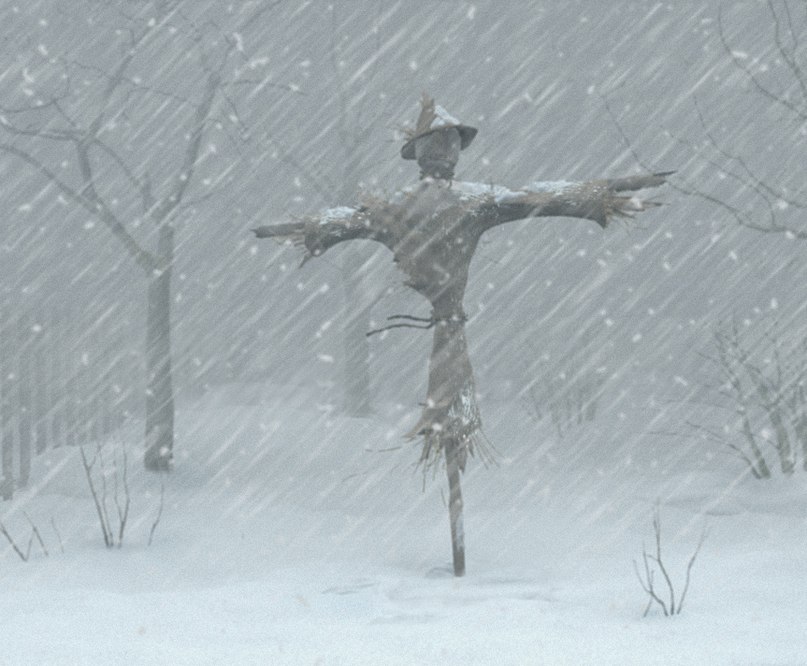 Коля ))))))) | Владимир