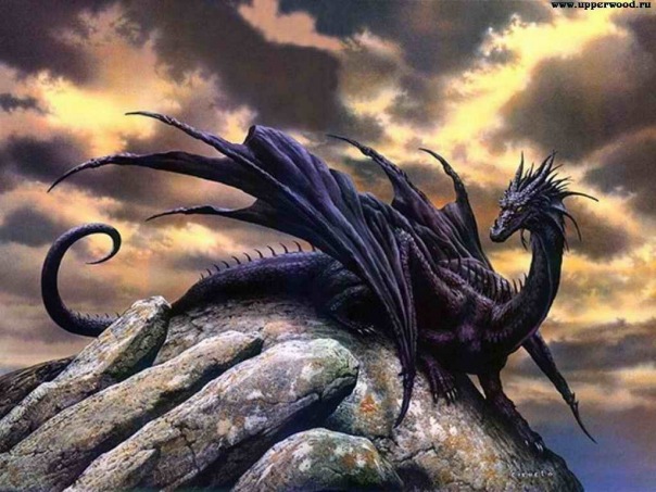 №2, Артём Рыков №2, Артём Рыков