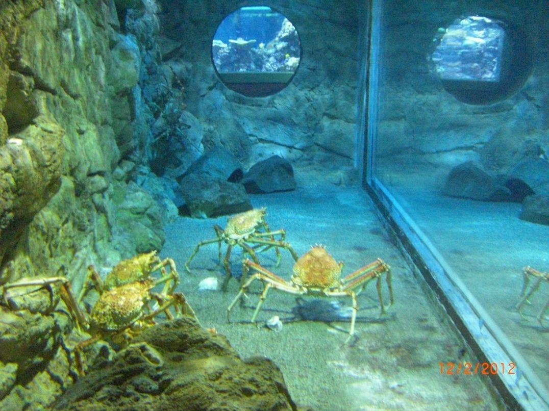 Геннадий Сергиенко | Санкт-Петербург