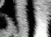 Алёна Тихомирова | Вышгород