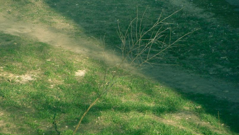 Владимир Шапран | Киев