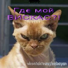 №99, Вован Лицедей, Великие Луки, Россия №99, Вован Лицедей, Великие Луки, Россия