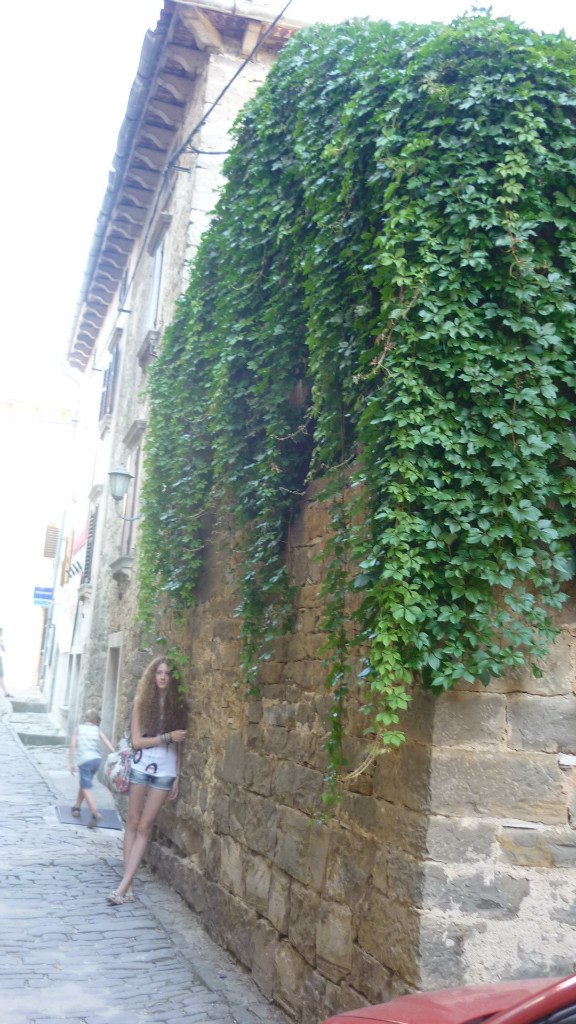 Юрий Юша | Ростов-на-Дону