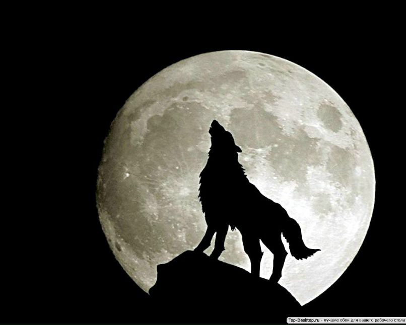 Максим Нестерчук | Винница