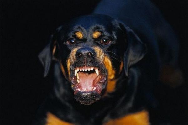 №15, Иван Абрамченко, 41 год, Красноярск №15, Иван Абрамченко, 41 год, Красноярск