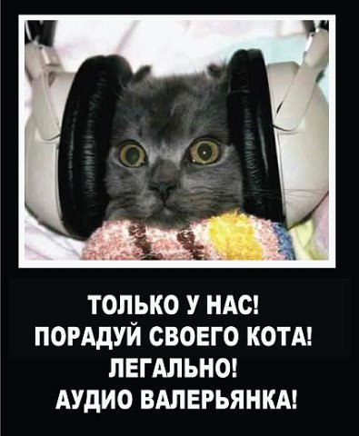 №62, Ангелина Резван, Ростов-на-Дону №62, Ангелина Резван, Ростов-на-Дону