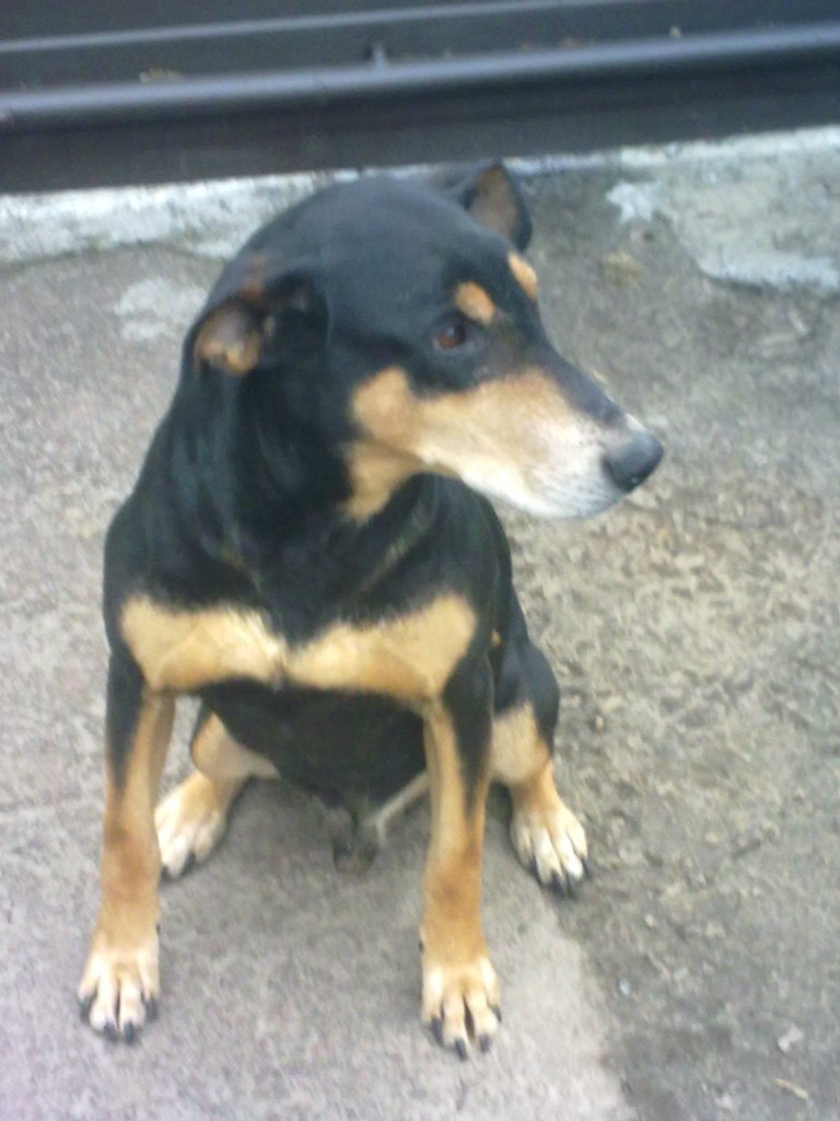 Алексей Доля Евгениевич | Чернигов