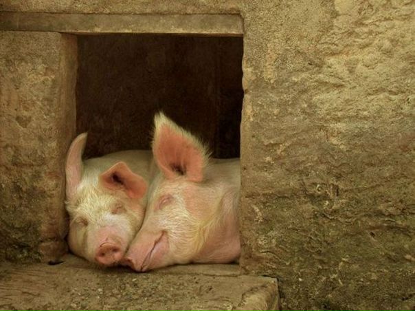 №1, Женёк Дуболазов, Самара №1, Женёк Дуболазов, Самара