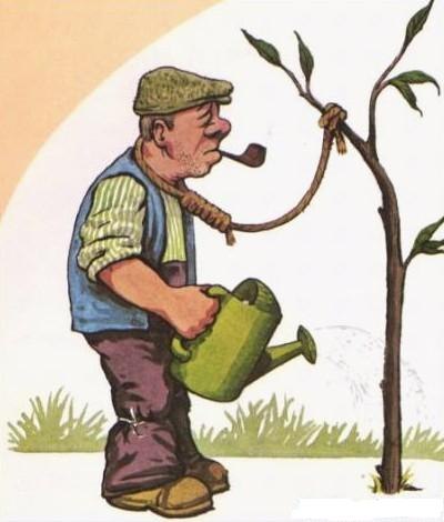 Андрей Нестеров | Санкт-Петербург