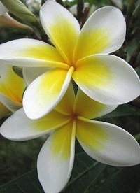 Irina Anfarovich | Санкт-Петербург