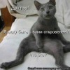Саня Глухов