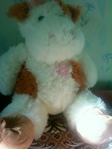 №22, Танюшка Цокан, 33 года, Кодыма №22, Танюшка Цокан, 33 года, Кодыма