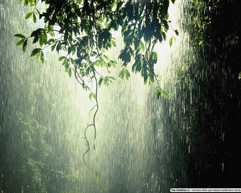 Эрнест Кирстон | Запорожье