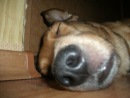 №37 Генадзь Гатоўчыц : профиль, фото, статус - ВКонтакте №37 Генадзь Гатоўчыц : профиль, фото, статус - ВКонтакте
