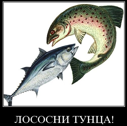 №5, Саня Мищенко, 31 год, Харьков №5, Саня Мищенко, 31 год, Харьков