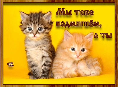 №17, Atajan Hatamov №17, Atajan Hatamov