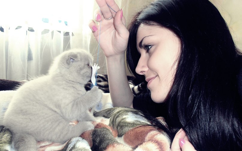 Светик Пришва | Новоград-Волынский