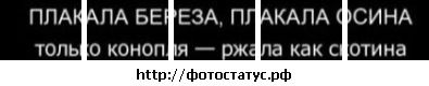 Фотография Елена Гилберт