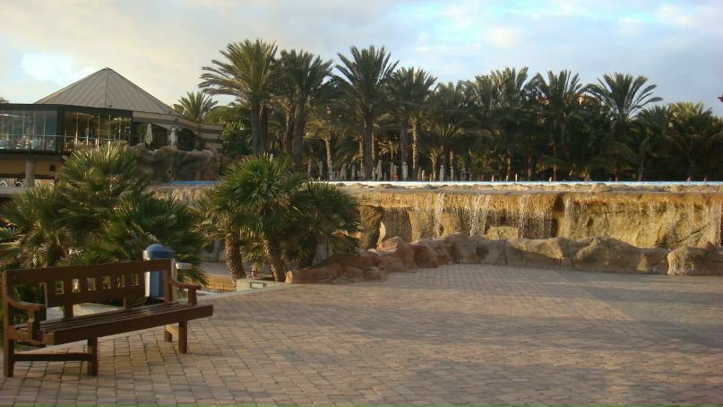 Елена Калюжная | Орёл