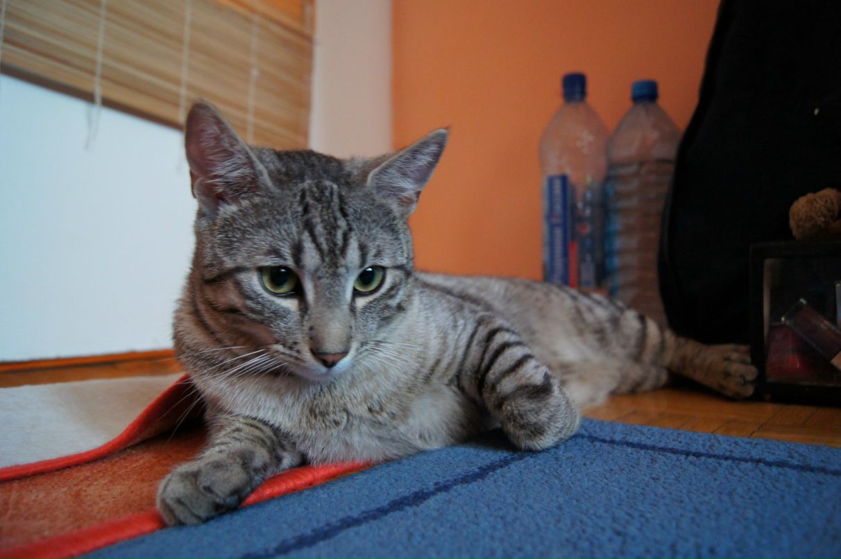 Marta Gryniewicka | Białystok