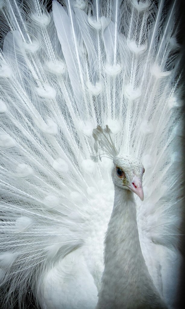 Марина Федорова | Якутск