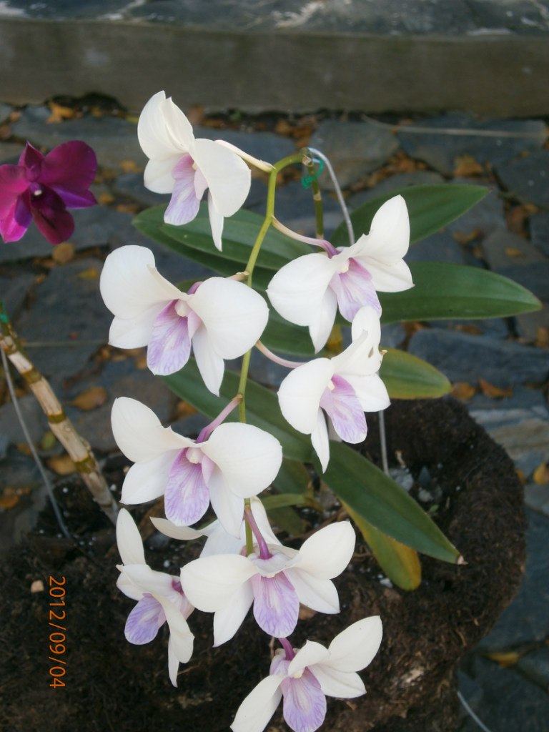 Сергей Скороходов ιllιlι.ιl СЕРХАТ ιllιlι.ιl | Москва