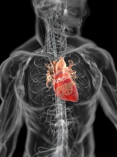 Виталий Тютюник | Киев