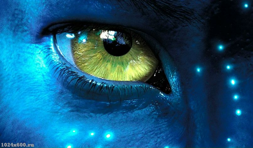 Галия Чекренёва | Санкт-Петербург