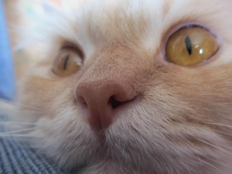 Александр Лобашов | Сыктывкар