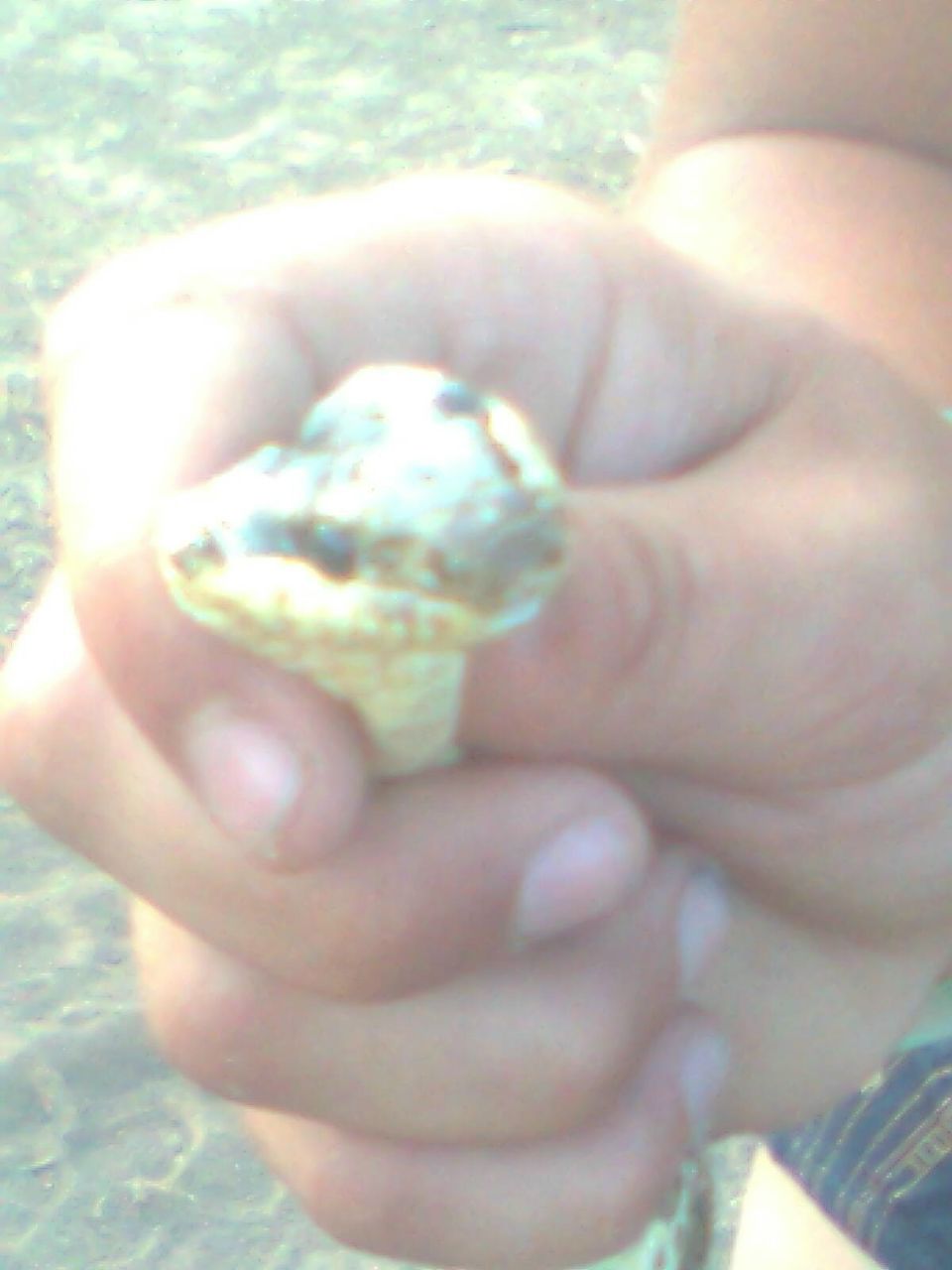 Илья Трофимов | Херсон