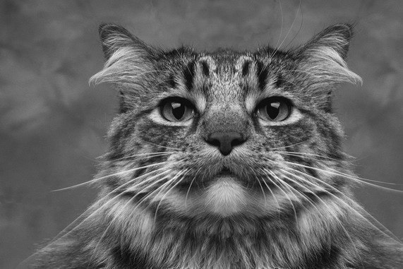 Ирина Смирнова | Тверь