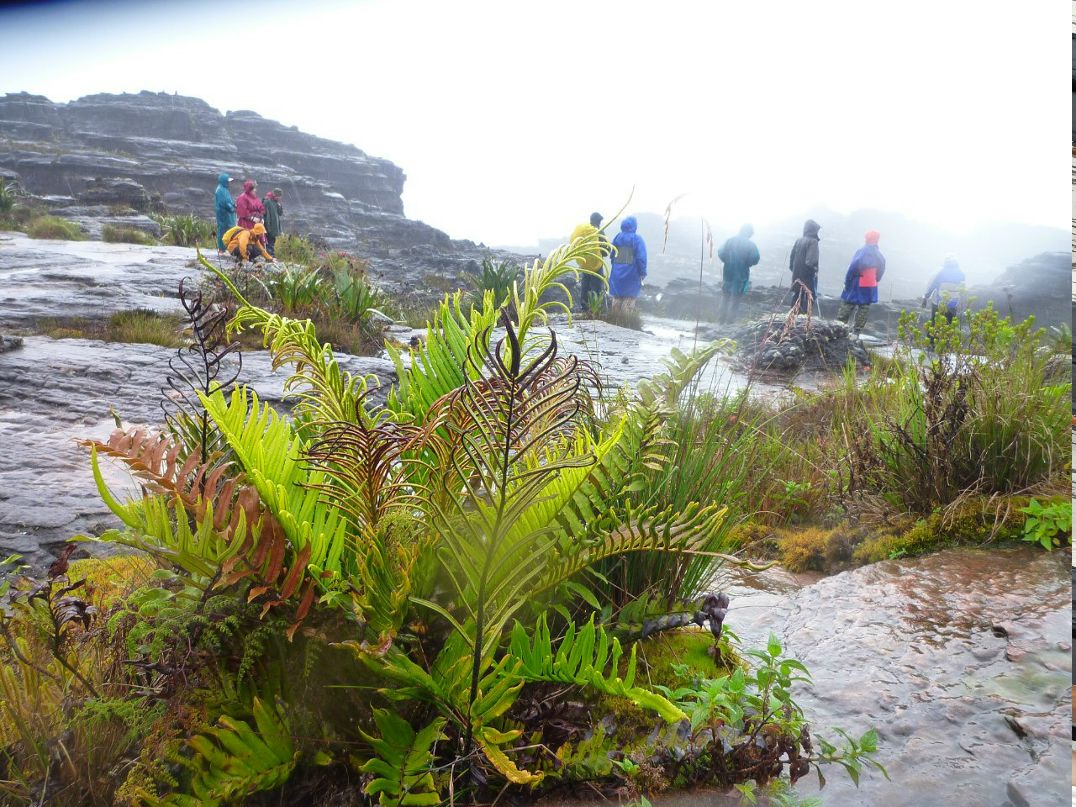 Асия Вавщук | Екатеринбург