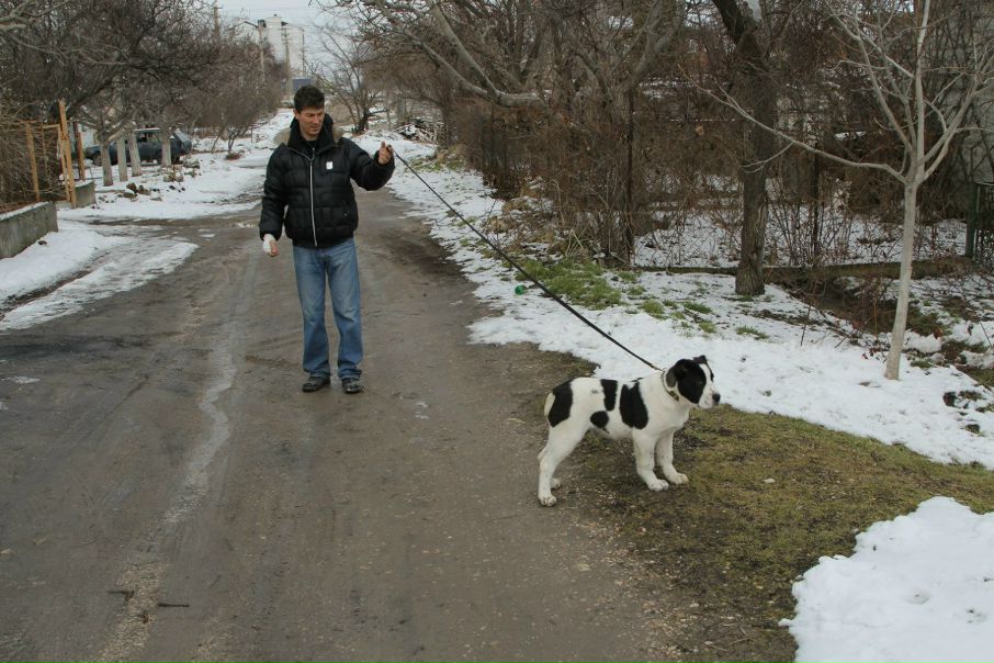 №12, Руслан Гордеев, Львов №12, Руслан Гордеев, Львов