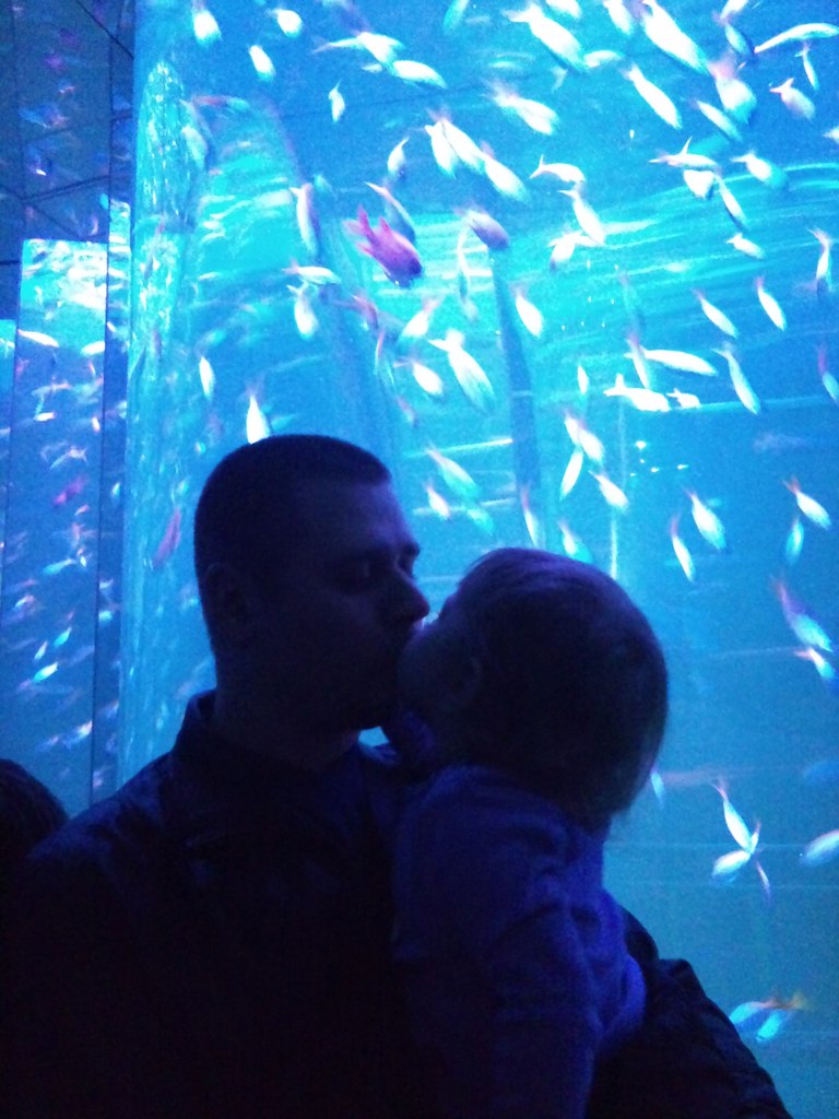 Алексей Толстов | Санкт-Петербург